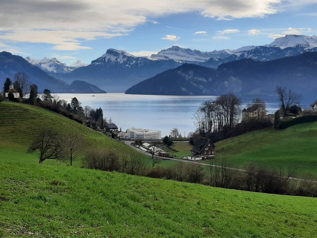 Weggis - Hertenstein